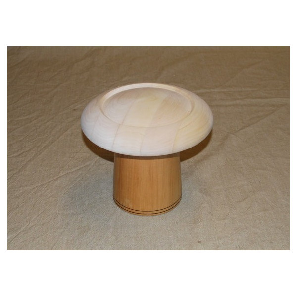 Jane - modistická forma 