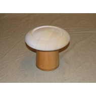 Jane - modistická forma 